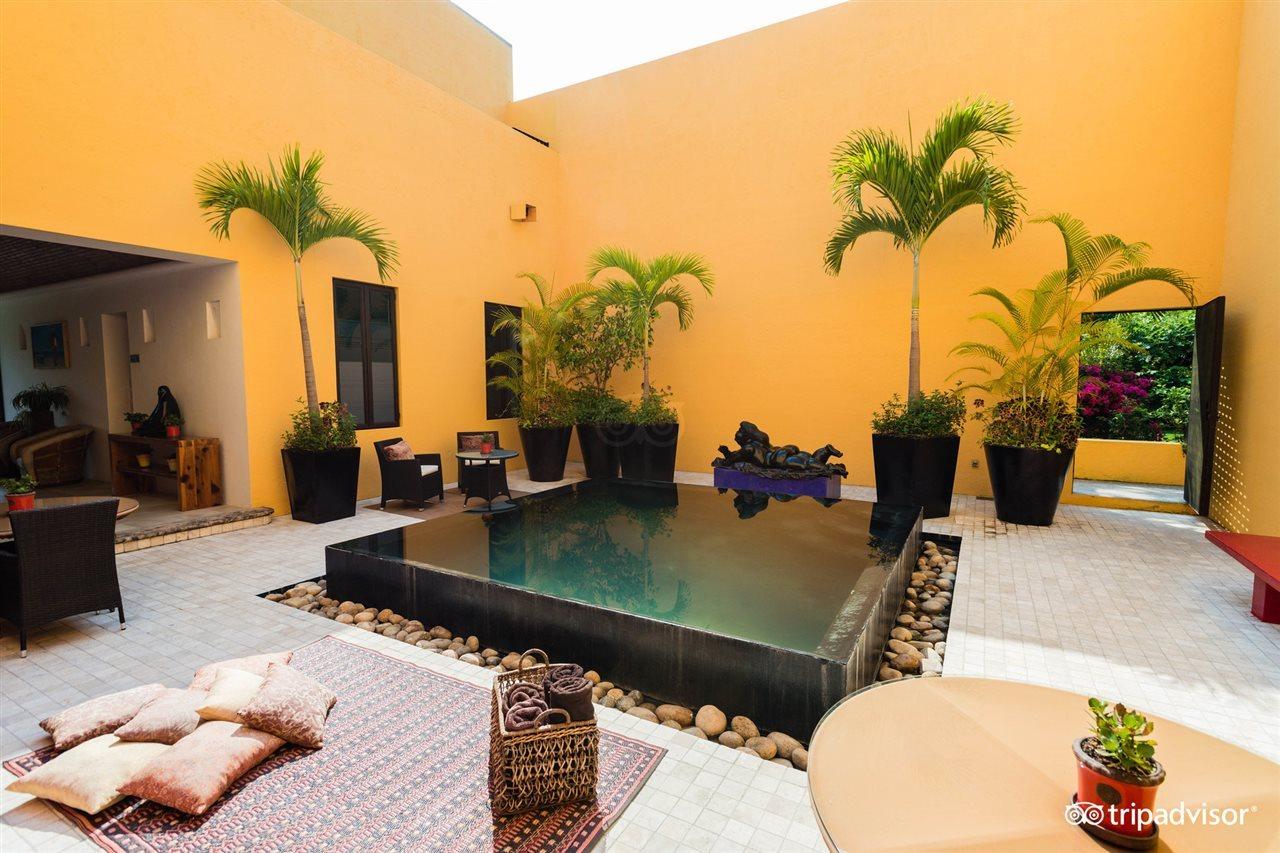 Villa Azalea Inn & Organic Farm JALISCO 외부 사진