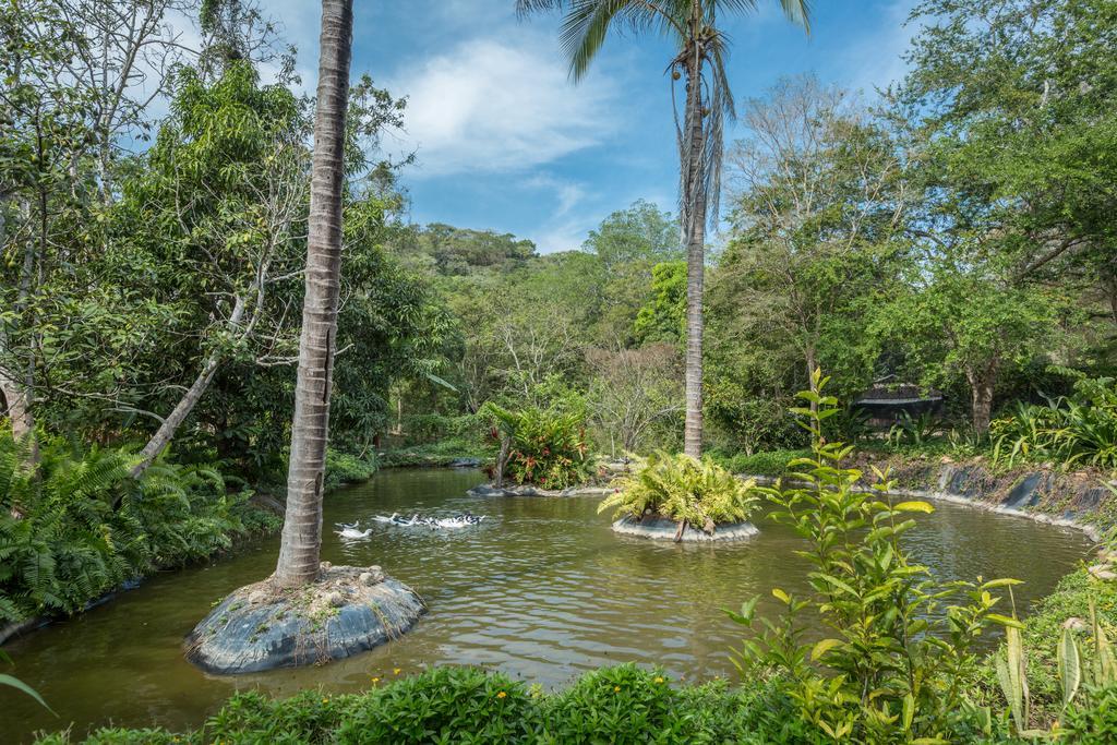 Villa Azalea Inn & Organic Farm JALISCO 외부 사진