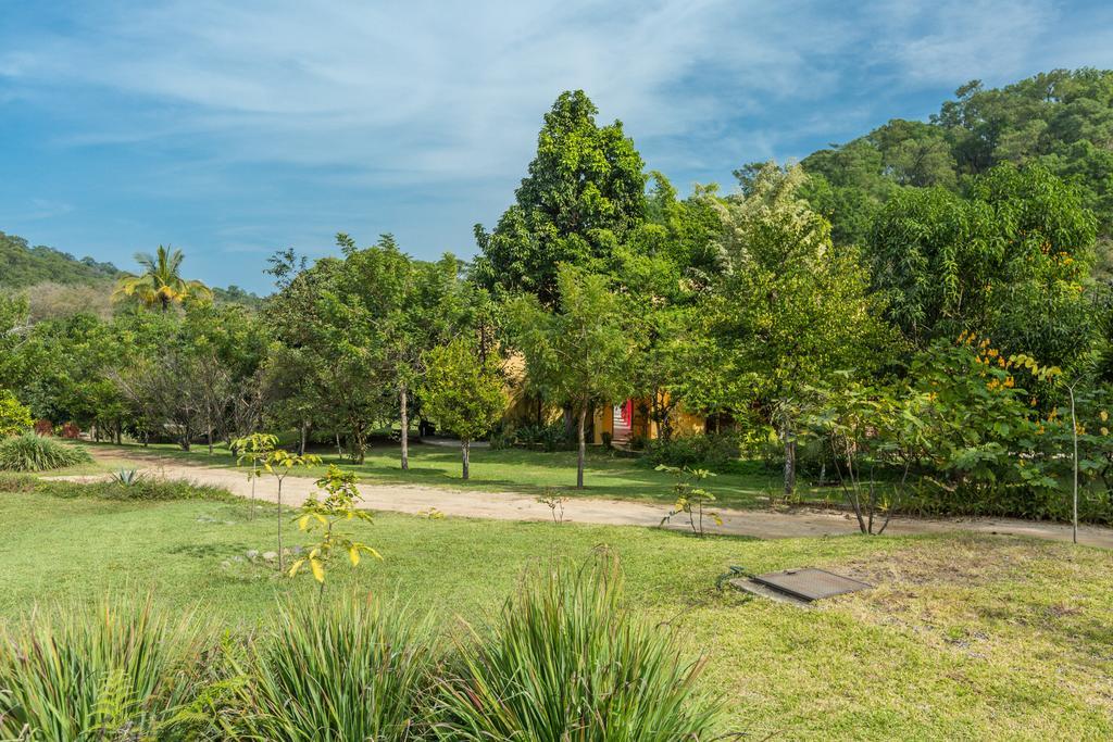 Villa Azalea Inn & Organic Farm JALISCO 외부 사진