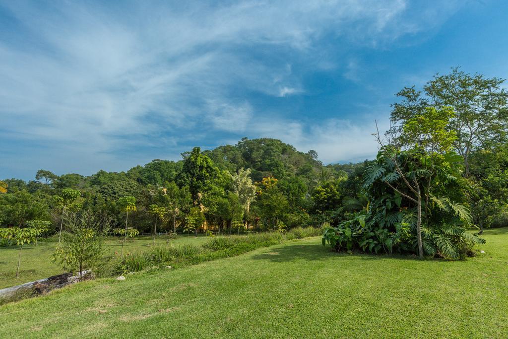 Villa Azalea Inn & Organic Farm JALISCO 외부 사진