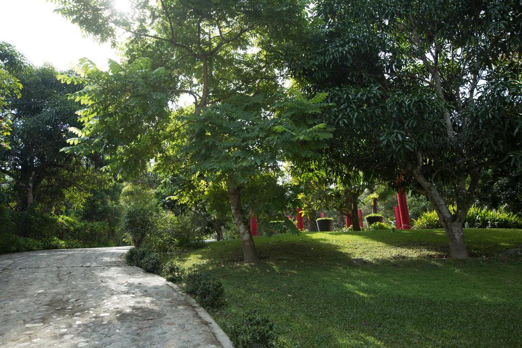 Villa Azalea Inn & Organic Farm JALISCO 외부 사진