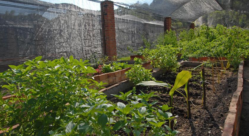 Villa Azalea Inn & Organic Farm JALISCO 외부 사진