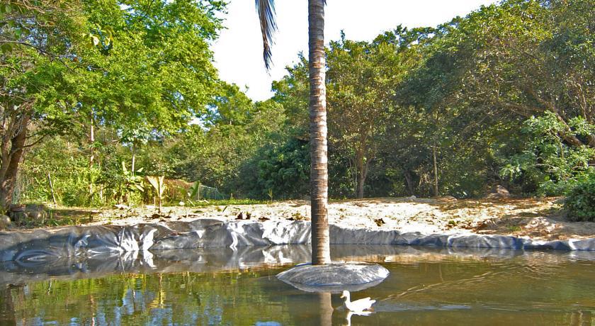 Villa Azalea Inn & Organic Farm JALISCO 외부 사진